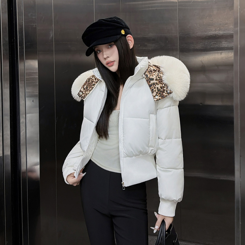 جاكيت قصير بطبعة الفهد وياقة ف - مراجعة Queen Street Fashion وسعره